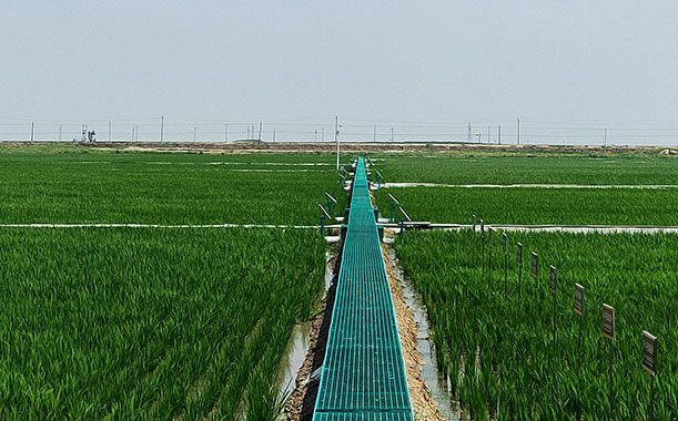 移動wifi上門安裝電話